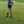andy r