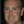 Shane M